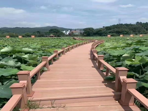 1674045694671425.jpg 木塑棧道施工案例.jpg